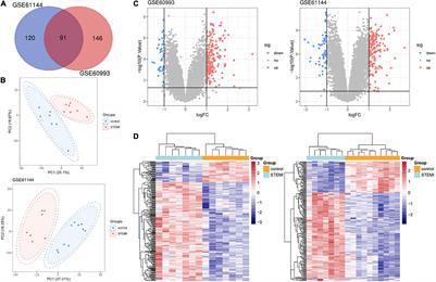 Human Plasma Transcriptome Implicates Dysregulated S100A12 Expression: A Strong, Early-Stage Prognostic Factor in ST-Segment Elevated Myocardial Infarction: Bioinformatics Analysis and Experimental Verification